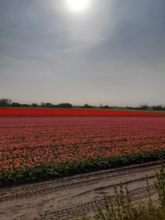 Groot Familiehuis Voor 6 Personen In Landelijke, Rustige Omgeving Breezand Exterior foto