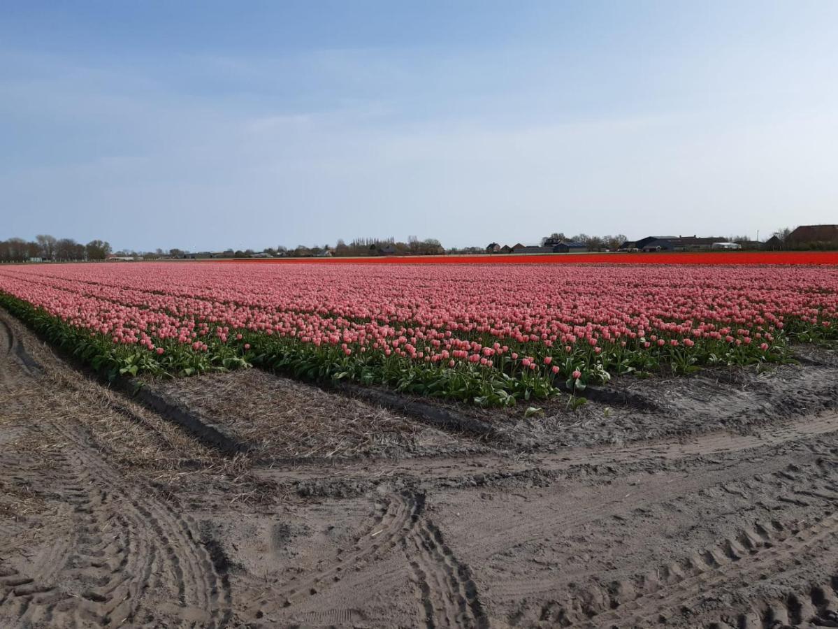 Groot Familiehuis Voor 6 Personen In Landelijke, Rustige Omgeving Breezand Exterior foto